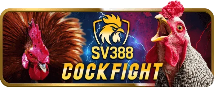 An toàn & Bảo mật rich888 app